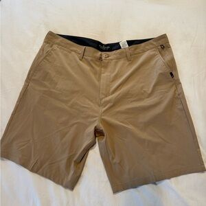 Quicksilver Men's Tan Amphibian Shorts